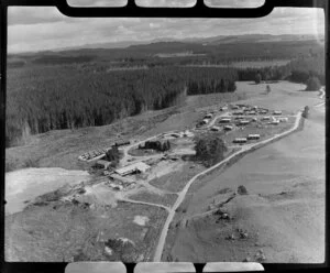 New Zealand dairy co-operative box factory, Wiltsdown, Tokoroa, Waikato