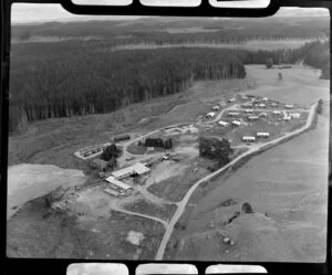 Sawmill, Tokoroa, Waikato