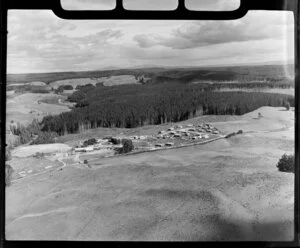 New Zealand dairy co-operative box factory, Wiltsdown. Tokoroa, Waikato