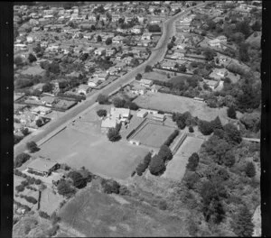 Meadowbank School, Auckland, and nearby houses