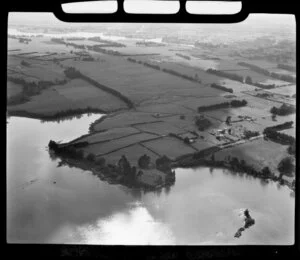 Farm, Papakura, Auckland