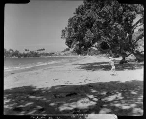 Stanmore Bay, Whangaparaoa Peninsula, showing people on beach