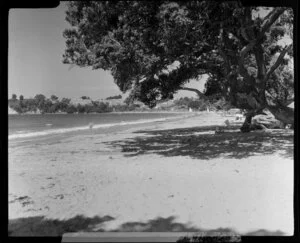 Stanmore Bay, Whangaparaoa Peninsula, showing beach