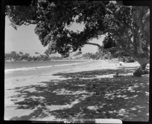 Stanmore Bay, Whangaparaoa Peninsula, showing beach