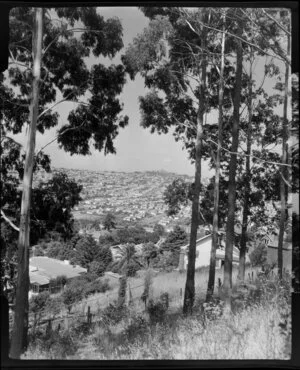 Mount Albert, Auckland, looking towards One Tree Hill