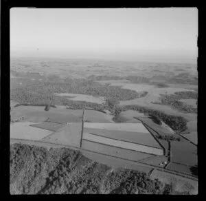 View over farmland Patea, Taranaki District, showing hedgerows marking out boundaries of road and fields with sheep in foreground, with bush filled creeks running through farmland, looking to the coast beyond