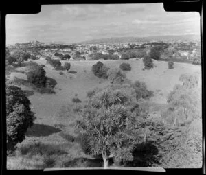 Mount St John crater, Auckland