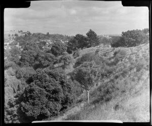 Mount St John, Auckland, looking towards Mount Eden