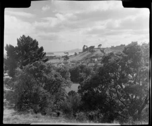 Mount St John, Auckland, looking towards Rangitoto Island