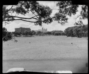Cricket game, Auckland Domain