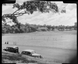 Cricket game, Auckland Domain, including cars parked nearby