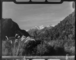Fox Glacier, South Westland District, view of Mount Tasman at the head of the Fox River Valley, with forest covered hills