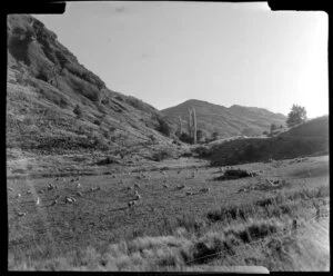 Arthurs Point, Queenstown