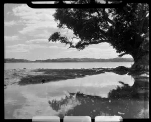 Paihia, Bay of Islands, Northland, showing beach