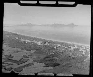 Whangarei Harbour