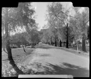 Road in Lawrence during autumn, Otago