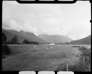 Crushington Farm, Reefton, West Coast Region