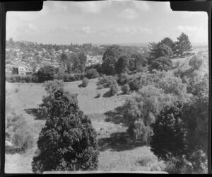 Mount St John, Auckland