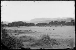 River, showing a roof and steeple of a church set among trees on far side, and a jetty, probably Hutt Valley