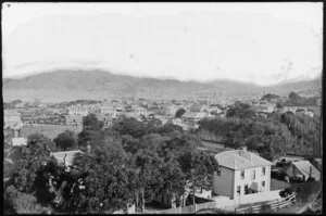 Overlooking Thorndon towards ships in Wellington Harbour, showing houses on Grant Road in foreground, Park Street at right, and buildings on Tinakori Road