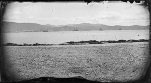 View from Oriental Bay looking towards Thorndon, Wellington, showing four large ships sailing in Lambton Harbour