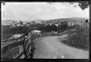View across the suburb of Thorndon, Wellington, showing houses and top of St Mary's Catholic Cathedral