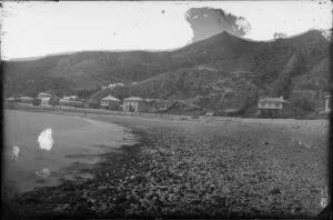 Oriental Bay, Wellington, showing beach and houses