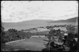 Looking southeast across Thorndon, including gardens in foreground, and ships in Wellington Harbour