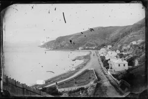 Oriental Bay, Wellington, from Oriental Terrace, showing houses, boat sheds, and grassy fenced area at base of terrace