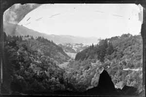 Looking through a bush-covered gully towards houses in [Thorndon?] Wellington