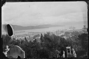 View from [Mount Street? Bolton Street?] cemetery, Wellington, showing Government Buildings, tower of Government House, and ships on Lambton Harbour