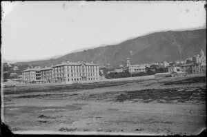 Wellington, showing Government Buildings and Government House, with reclamation in foreground