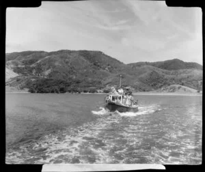 Passenger boat, Rawhiti in the background, Bay of Islands, Northland