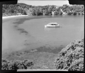 Bay scene, including passenger boat, Mita's Island, Bay of Islands, Northland