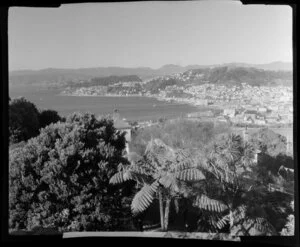 Overlooking Wellington Harbour from Kelburn Hills