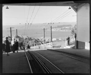 Overlooking Wellington from the Kelburn Cable Car depot