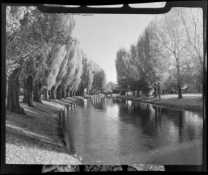 Christchurch Botanic Gardens, featuring the Avon River and the stone bridge in the background