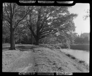 Christchurch Botanic Gardens, featuring the Avon River