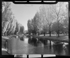 Christchurch Botanic Gardens, featuring the Avon River and the stone bridge in the background