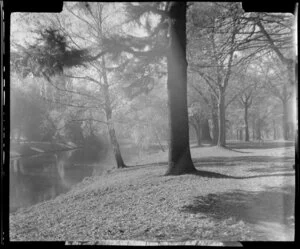 Christchurch Botanic Gardens, featuring the Avon River