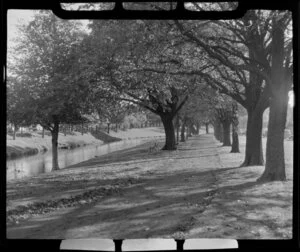 The walkway along Rolleston Avenue, Christchurch, featuring the Avon River