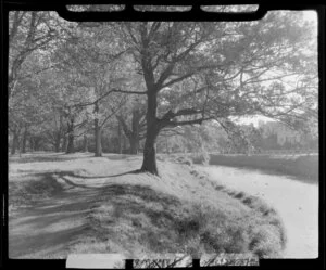 Christchurch Botanic Gardens, featuring the Avon River