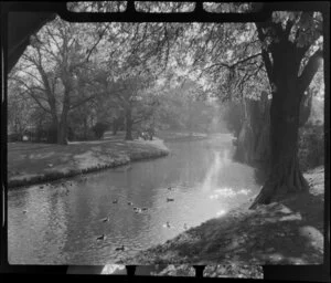 Christchurch Botanic Gardens, featuring the Avon River and people on the river's bank in the distance