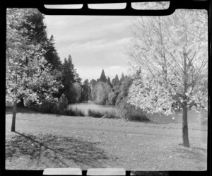 Ashburton Botanic Gardens, Tinwald Domain, featuring Ashburton River