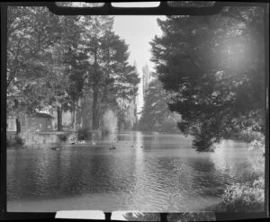 Christchurch Botanic Gardens, featuring ducks on the Avon River