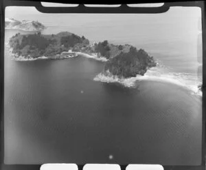 Moturekareka Island, Kawau Island, Auckland region