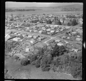 Tauranga, Western Bay of Plenty, showing housing and bush area