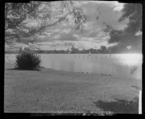 Lake Rotoroa, Hamilton