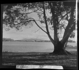 Lake Rotoroa, Hamilton