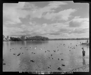 Lake Rotoroa in autumn, Hamilton